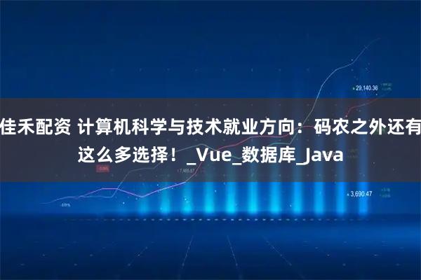 佳禾配资 计算机科学与技术就业方向：码农之外还有这么多选择！_Vue_数据库_Java