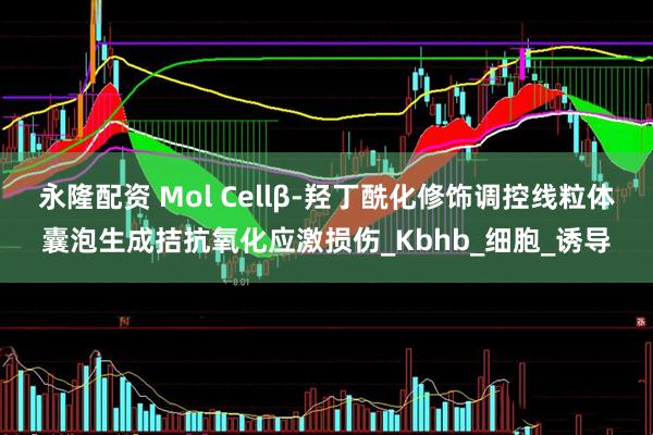 永隆配资 Mol Cellβ-羟丁酰化修饰调控线粒体囊泡生成拮抗氧化应激损伤_Kbhb_细胞_诱导