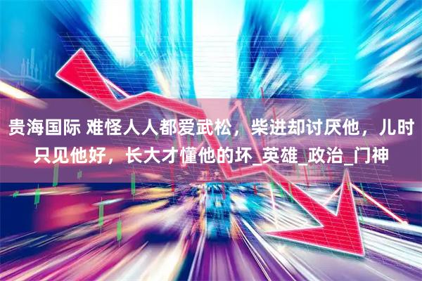 贵海国际 难怪人人都爱武松,柴进却讨厌他,儿时只见他好,长大才懂他的坏_英雄_政治_门神