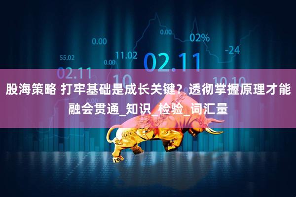 股海策略 打牢基础是成长关键？透彻掌握原理才能融会贯通_知识_检验_词汇量
