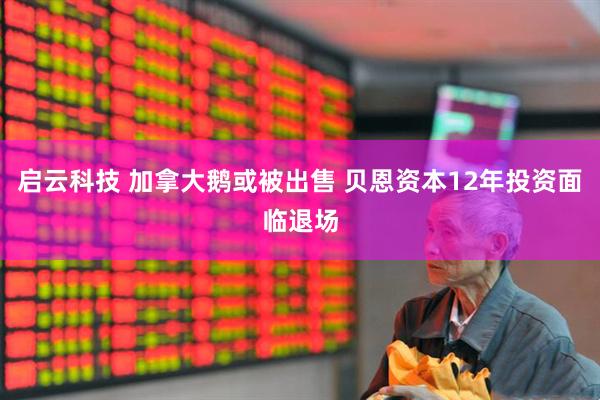 启云科技 加拿大鹅或被出售 贝恩资本12年投资面临退场