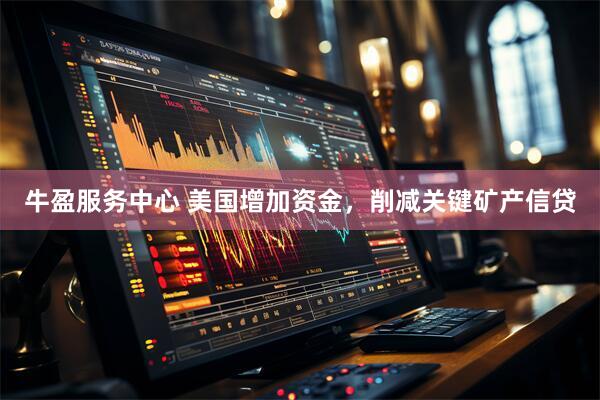 牛盈服务中心 美国增加资金，削减关键矿产信贷