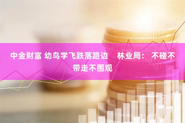 中金财富 幼鸟学飞跌落路边 林业局: 不碰不带走不围观