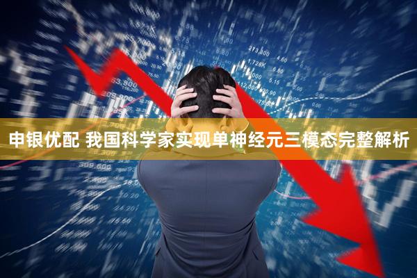申银优配 我国科学家实现单神经元三模态完整解析
