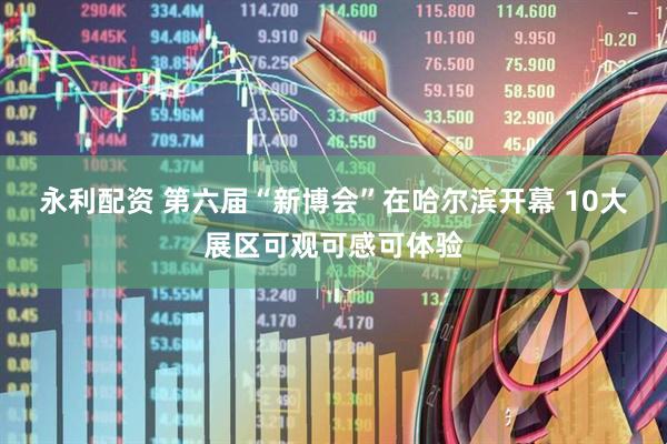 永利配资 第六届“新博会”在哈尔滨开幕 10大展区可观可感可体验
