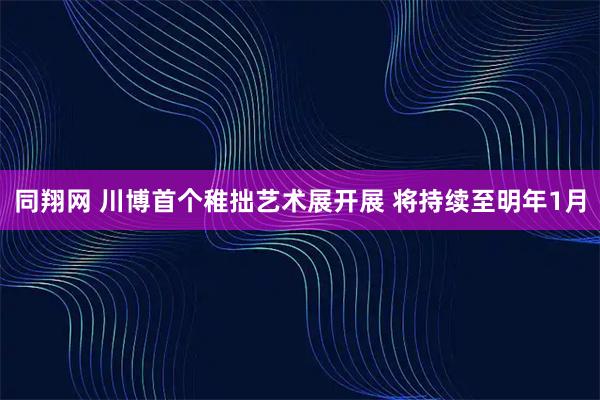 同翔网 川博首个稚拙艺术展开展 将持续至明年1月